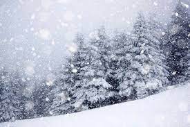 Istituto di Istruzione Superiore Lazzaro Spallanzani | Allerta NEVE. In seguito all'Ordinanza n.3 del Sindaco di Zocca, causa nevicate abbondanti, la sede di Montombraro rimarrà chiusa domani 23 gennaio 2023.