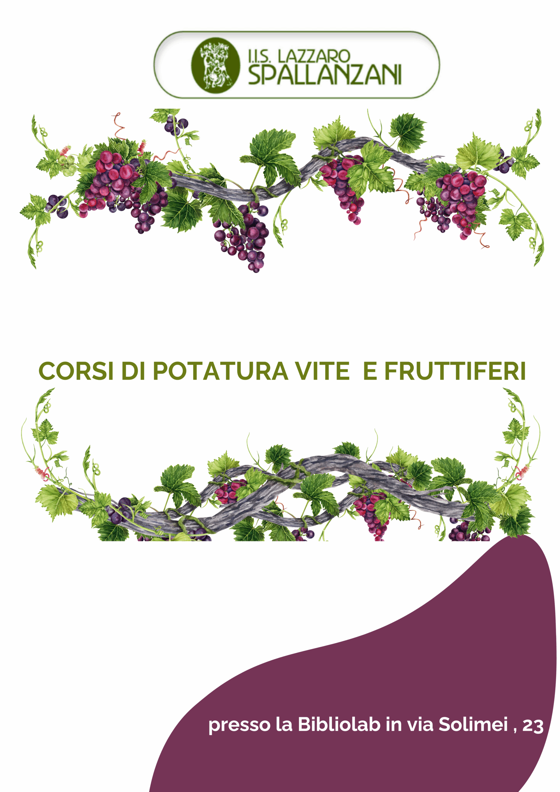 Istituto di Istruzione Superiore Lazzaro Spallanzani | CORSO DI POTATURA VITE E FRUTTIFERI