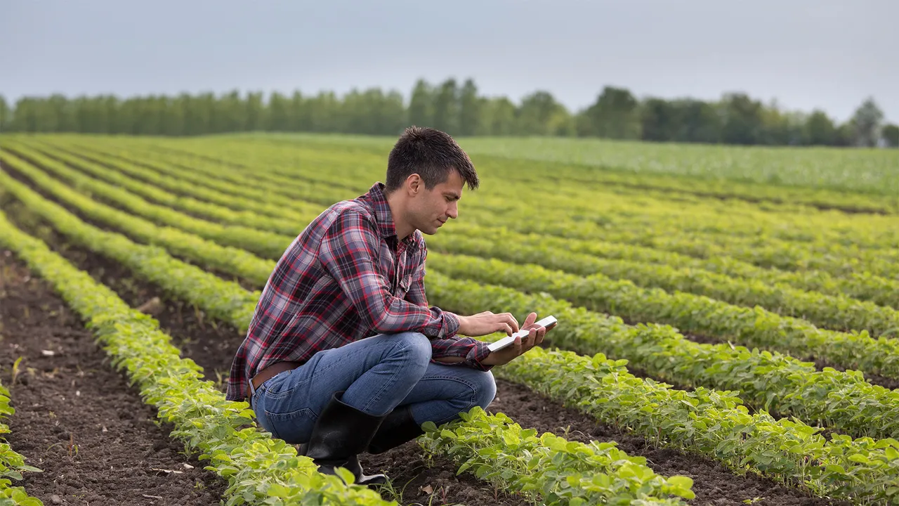 Istituto di Istruzione Superiore Lazzaro Spallanzani | Indirizzo Tecnico Agrario Istituto di Istruzione Superiore Lazzaro Spallanzani | Indirizzo Tecnico Agrario