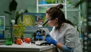 Istituto di Istruzione Superiore Lazzaro Spallanzani | Nuovo Tecnico Quadriennale 4+2 “Agricoltura e Biotrasfromazioni”